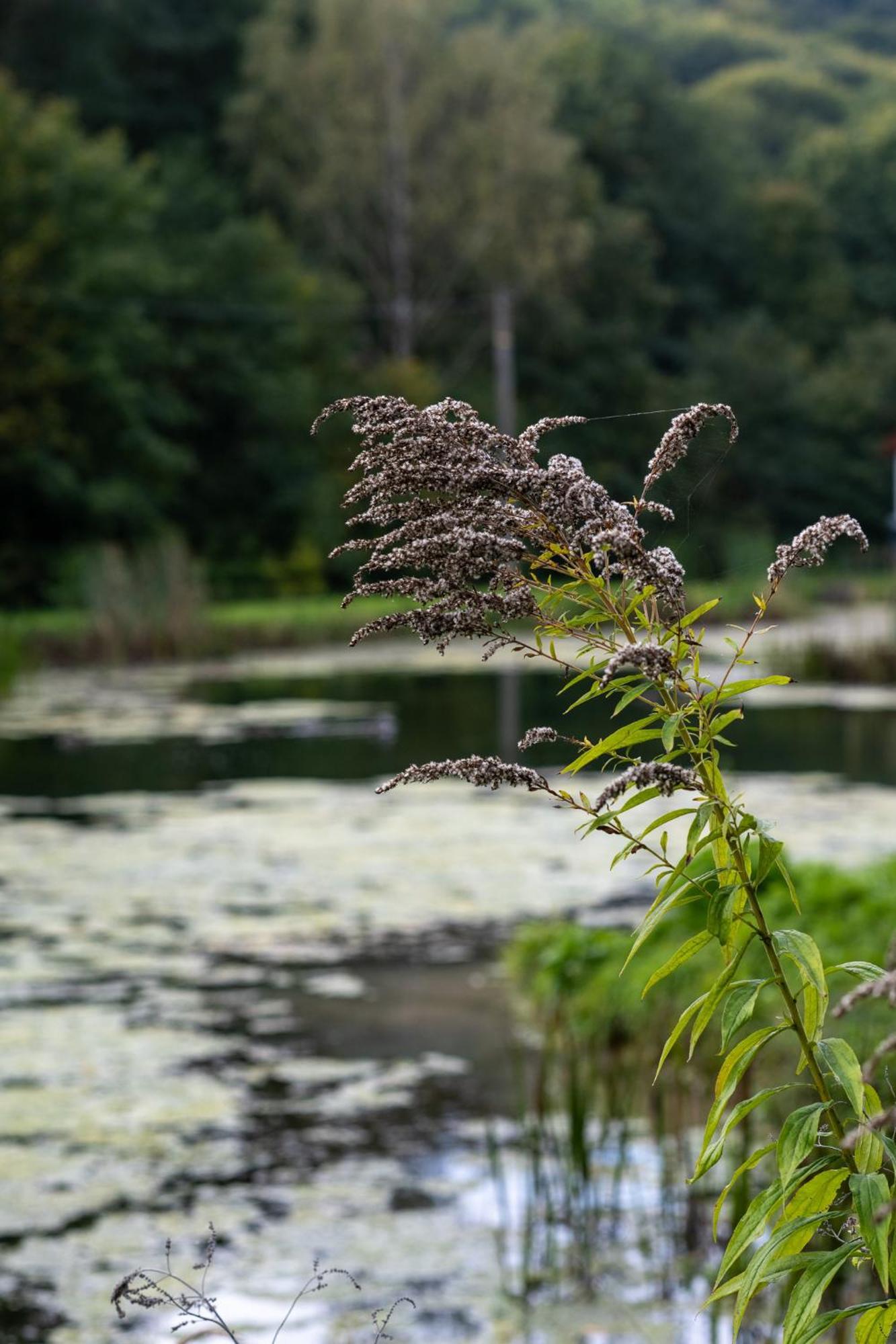 Rozin- Klimatyczne Domki Caloroczne I Jura Krakowsko-Czestochowska Villa Krzeszowice Exteriör bild