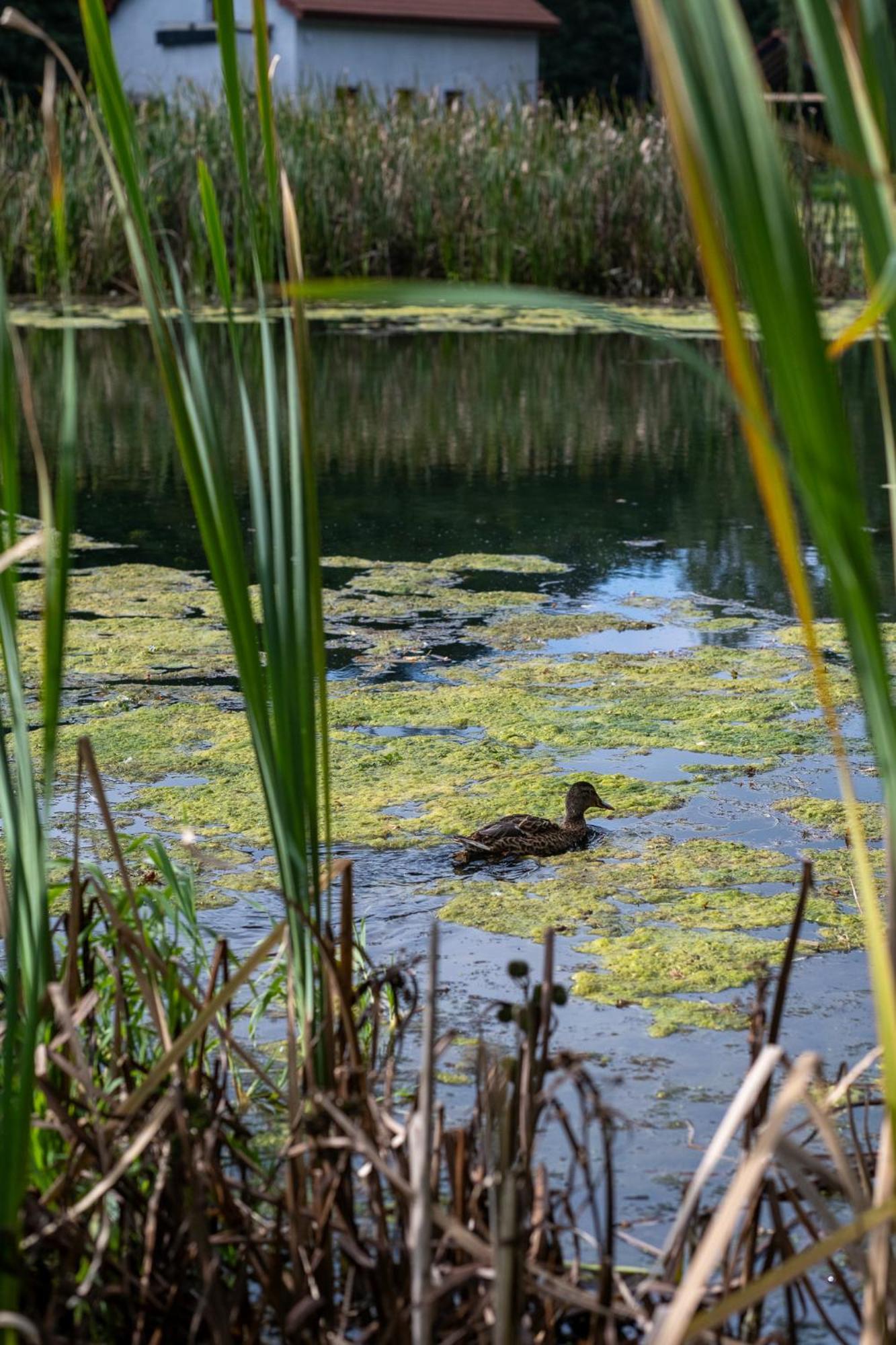 Rozin- Klimatyczne Domki Caloroczne I Jura Krakowsko-Czestochowska Villa Krzeszowice Exteriör bild