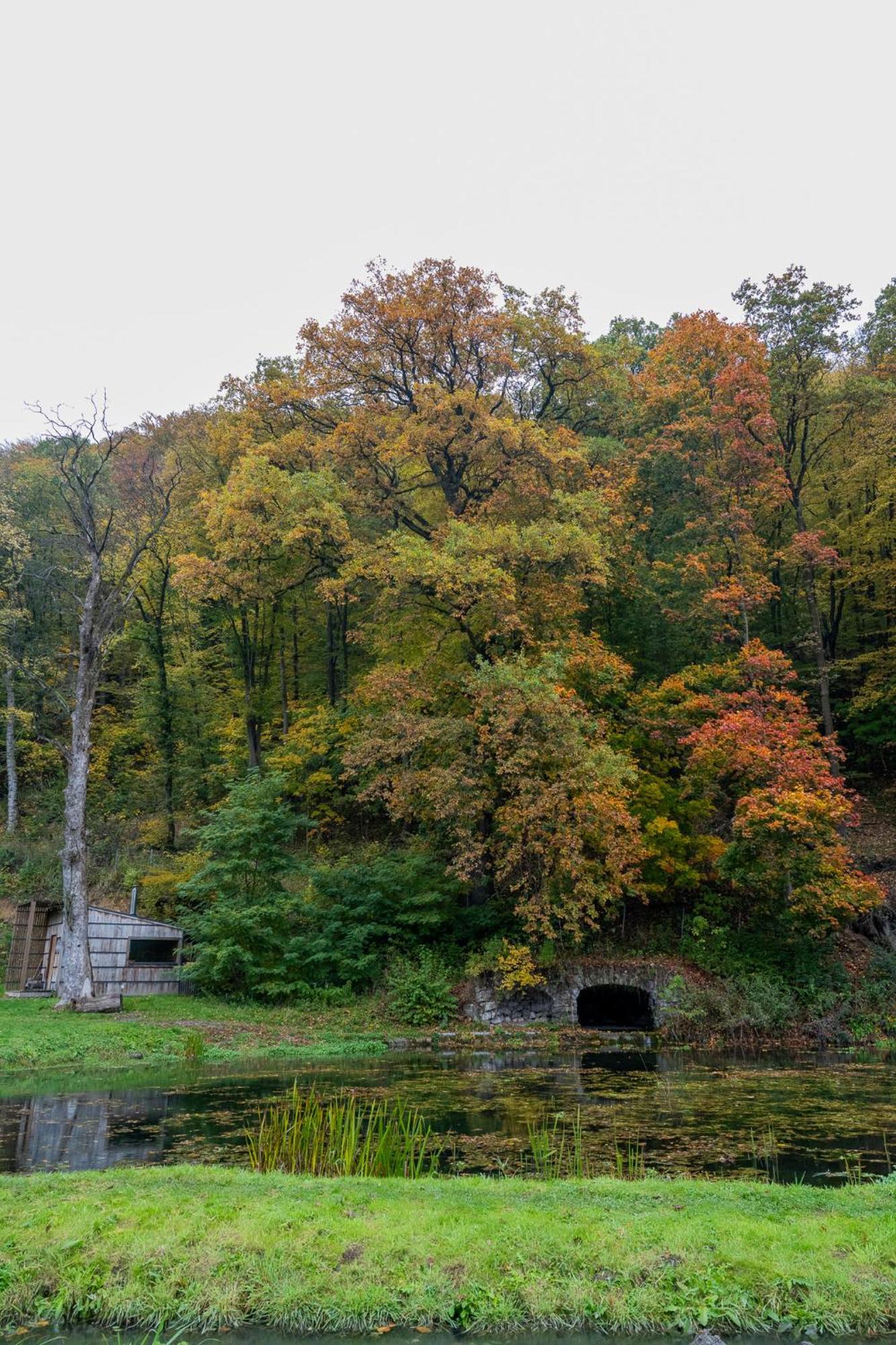 Rozin- Klimatyczne Domki Caloroczne I Jura Krakowsko-Czestochowska Villa Krzeszowice Exteriör bild