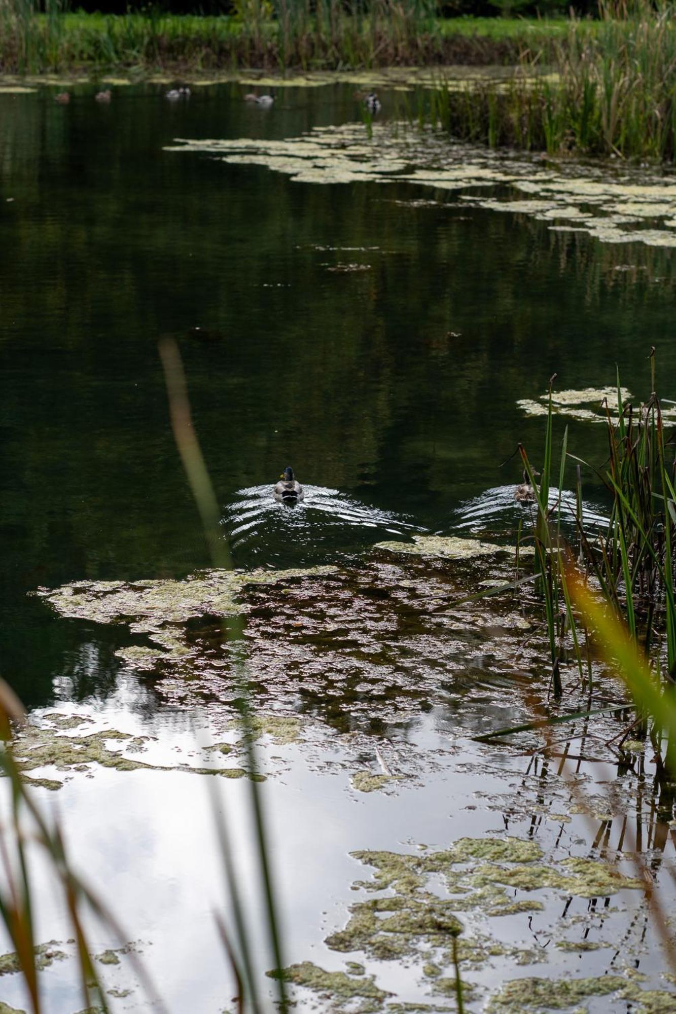 Rozin- Klimatyczne Domki Caloroczne I Jura Krakowsko-Czestochowska Villa Krzeszowice Exteriör bild