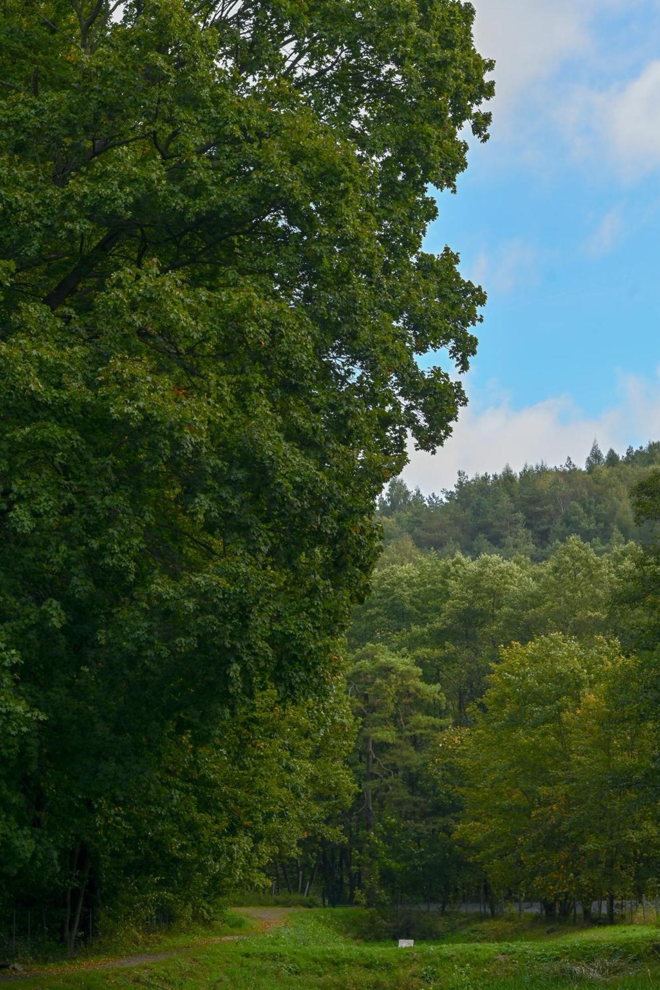 Rozin- Klimatyczne Domki Caloroczne I Jura Krakowsko-Czestochowska Villa Krzeszowice Exteriör bild