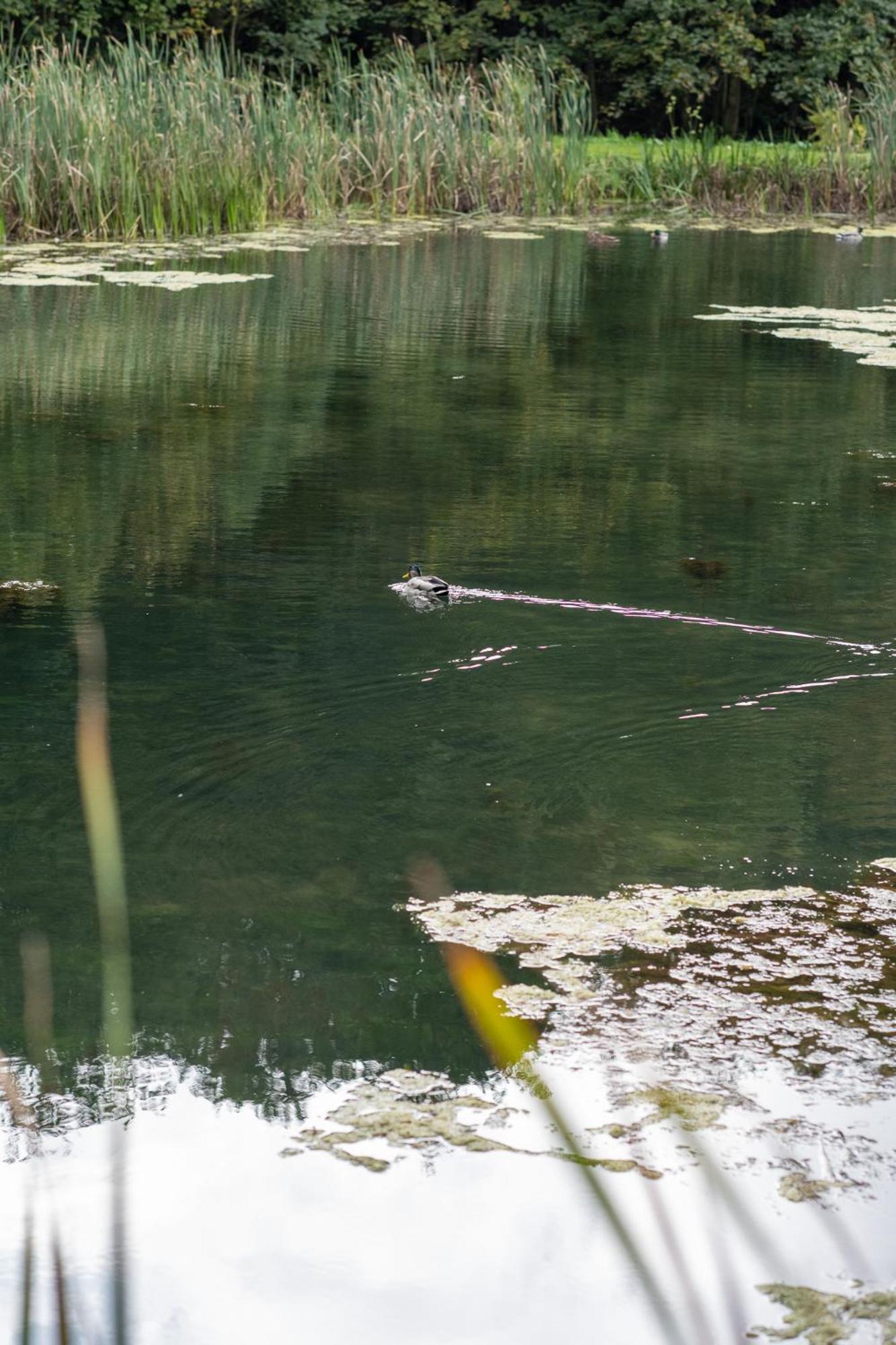 Rozin- Klimatyczne Domki Caloroczne I Jura Krakowsko-Czestochowska Villa Krzeszowice Exteriör bild