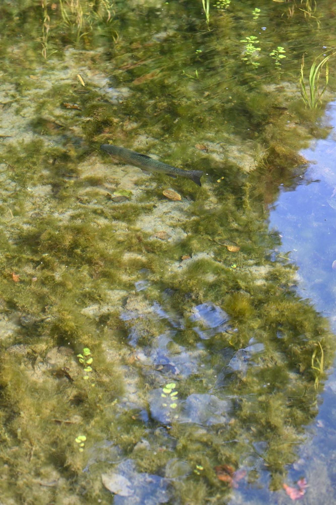 Rozin- Klimatyczne Domki Caloroczne I Jura Krakowsko-Czestochowska Villa Krzeszowice Exteriör bild