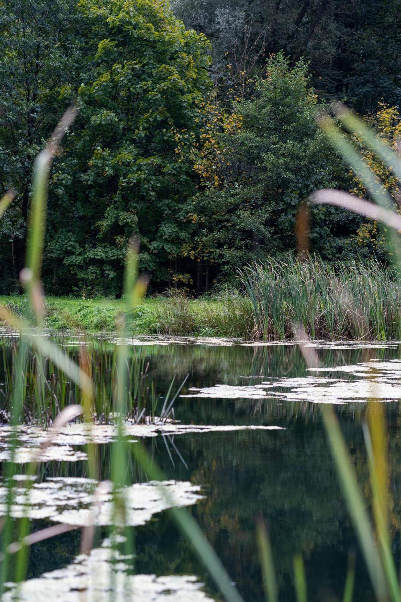 Rozin- Klimatyczne Domki Caloroczne I Jura Krakowsko-Czestochowska Villa Krzeszowice Exteriör bild