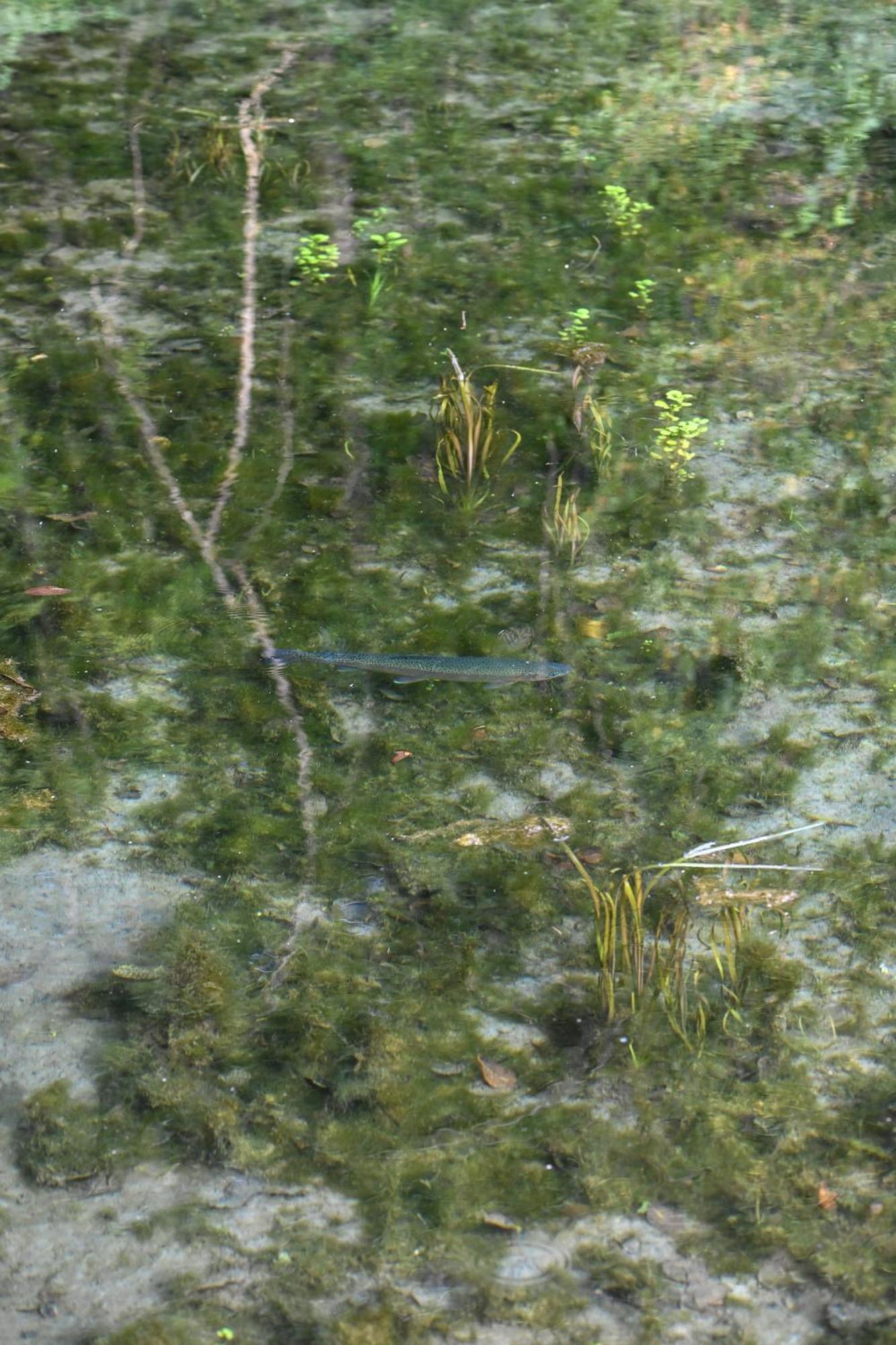 Rozin- Klimatyczne Domki Caloroczne I Jura Krakowsko-Czestochowska Villa Krzeszowice Exteriör bild