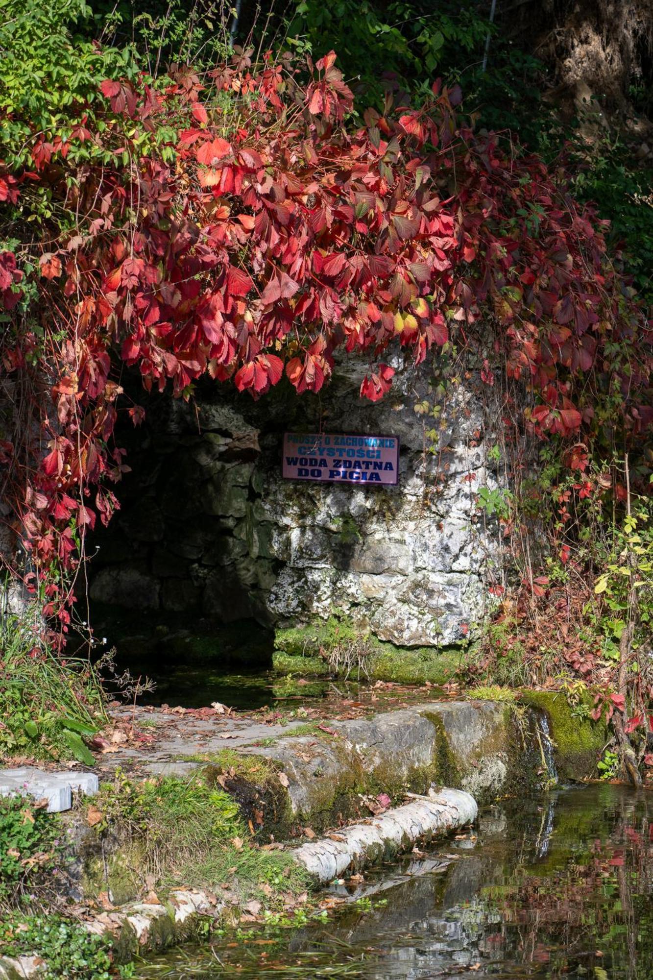 Rozin- Klimatyczne Domki Caloroczne I Jura Krakowsko-Czestochowska Villa Krzeszowice Exteriör bild