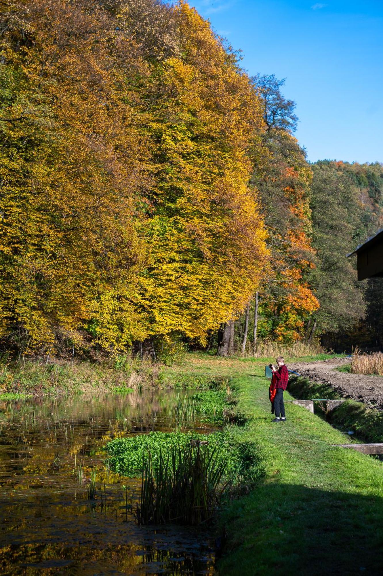 Rozin- Klimatyczne Domki Caloroczne I Jura Krakowsko-Czestochowska Villa Krzeszowice Exteriör bild