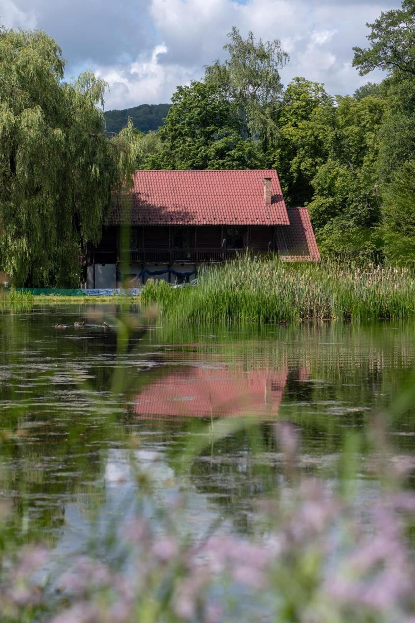 Rozin- Klimatyczne Domki Caloroczne I Jura Krakowsko-Czestochowska Villa Krzeszowice Exteriör bild